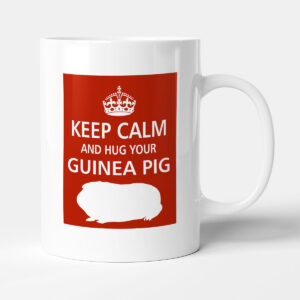 Pet Lover Designer Mug - Keep Calm And Hug Your Guinea Pig