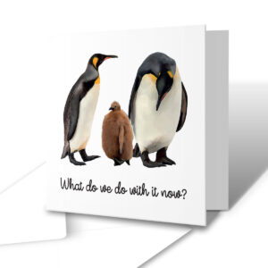 What Do We Do With It Now? - New Baby Greetings Card