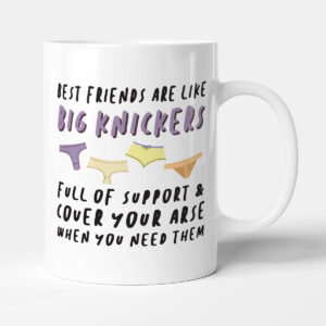 Best Friends Are Like Big Knickers - Funny Friendship Gift Mug
