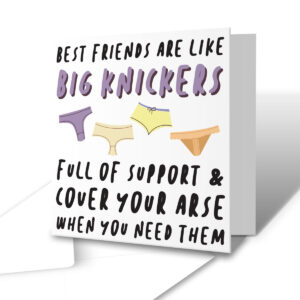 Best Friends Are Like Big Knickers - Funny Friendship Greetings Card