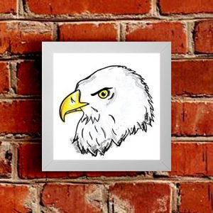A beautiful, colourful and artistic Eagle Framed Picture.