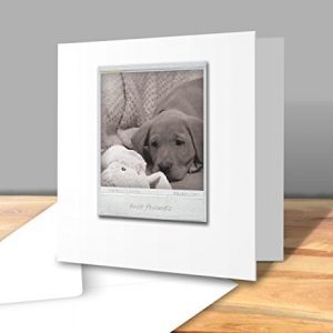 'Best Friends' Cute Original Vintage Polaroid Photograph of a Labrador Puppy - Square Greeting Card