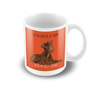 A Detailed Patterdale Terrier Illustration 'I'd rather be at home.' Orange printed mug