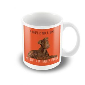 A Detailed Patterdale Terrier Illustration 'house is not a home.' orange printed mug