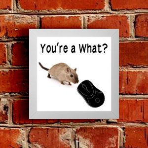 You're a What? - Framed Picture